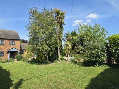 Picture 24